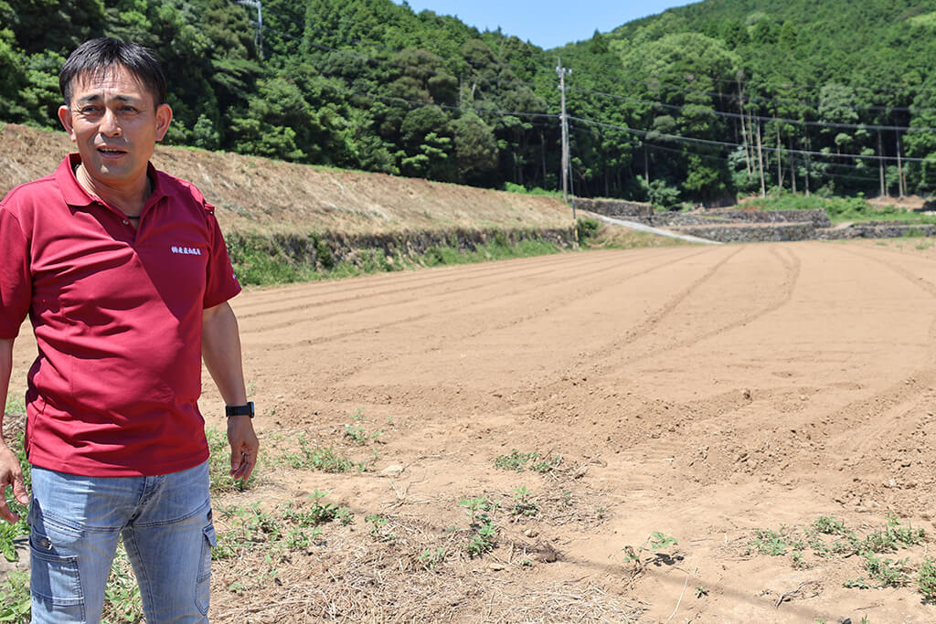 林田代表が畑の前で栽培方法について説明してくださりました