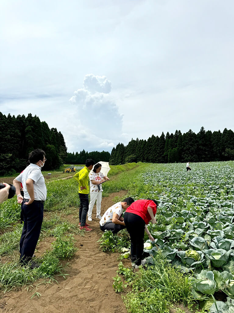 GCさん、食品加工を行うふくれんさんと共に畑に伺いました